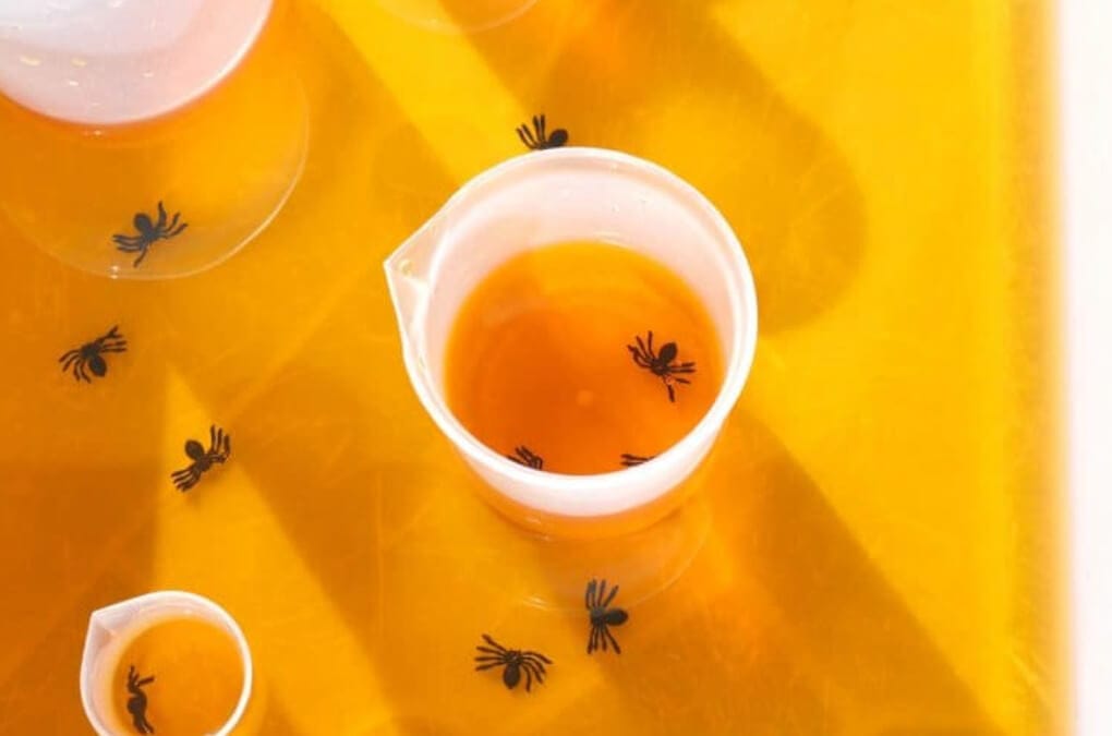 Halloween Sensory Bin showing an orange spider soup