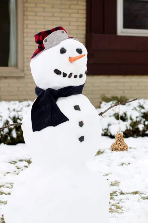 nopin="nopin" a snowman bird feeder seating outdoors with a scarf, carrot as a nose and hat