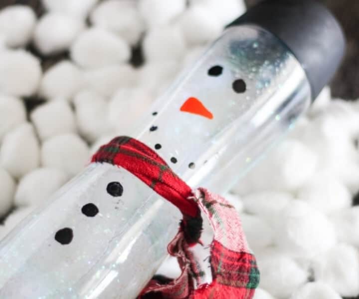 nopin="nopin" DIY snowman sensory bottle