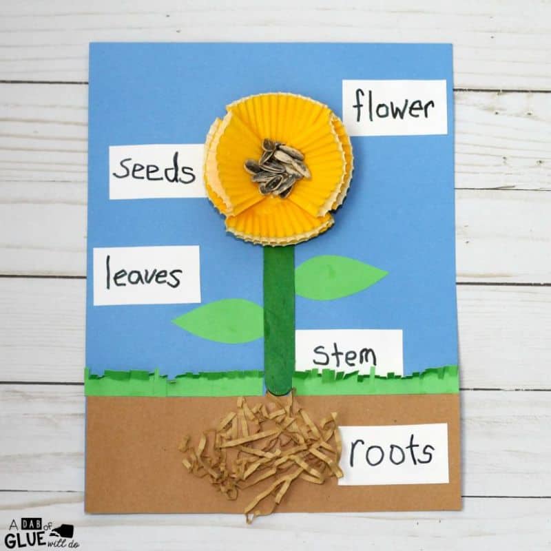 flower craft with labels for each of the parts of a flower
